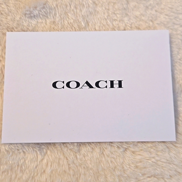 EUC RARE Light Green Coach Satin Amanda Satchel  PRICE FIRM - Picture 9 of 10